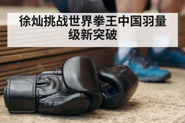 徐灿挑战世界拳王中国羽量级新突破