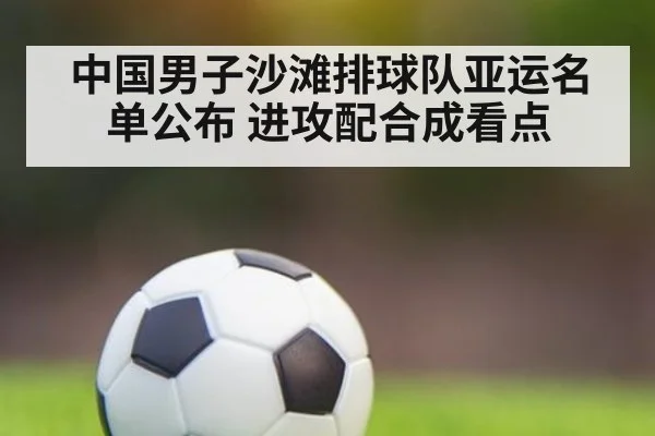 中国男子沙滩排球队亚运名单公布 进攻配合成看点